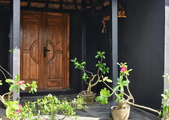 Avebodi Surf And Share Hostal