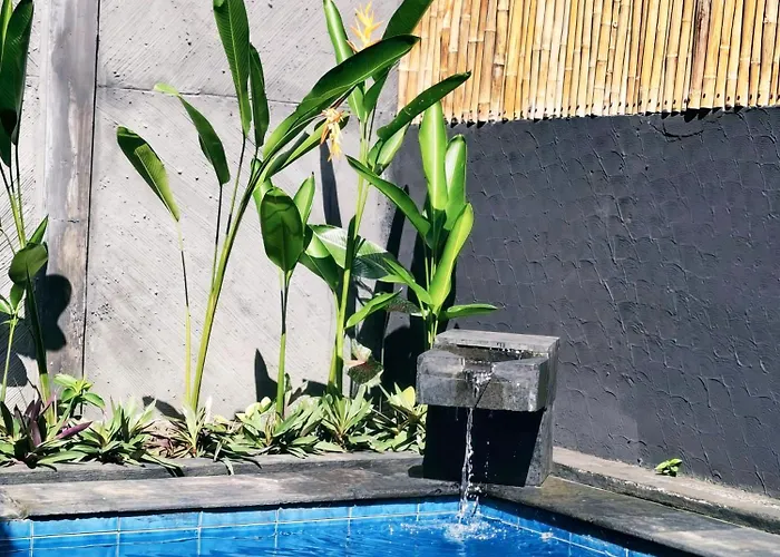 Avebodi Surf And Share Hostal Kuta Lombok